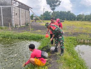 Read more about the article Babinsa dan Warga Krapyak Bersinergi Kembangkan Budidaya Ikan Patin untuk Ketahanan Pangan