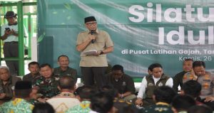 Read more about the article Solusi Atasi Konflik Manusia dan Gajah, Pemerintah Bangun Pembatas  di Way Kambas