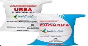 Read more about the article Pupuk Langka, Petani Menjerit