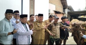 Read more about the article Bupati Tanggamus Serahkan Sapi Kurban Presiden Prabowo