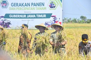 Read more about the article Dampingi Gubernur Panen Raya, Dandim Madiun Dorong Optimisme Petani Balerejo