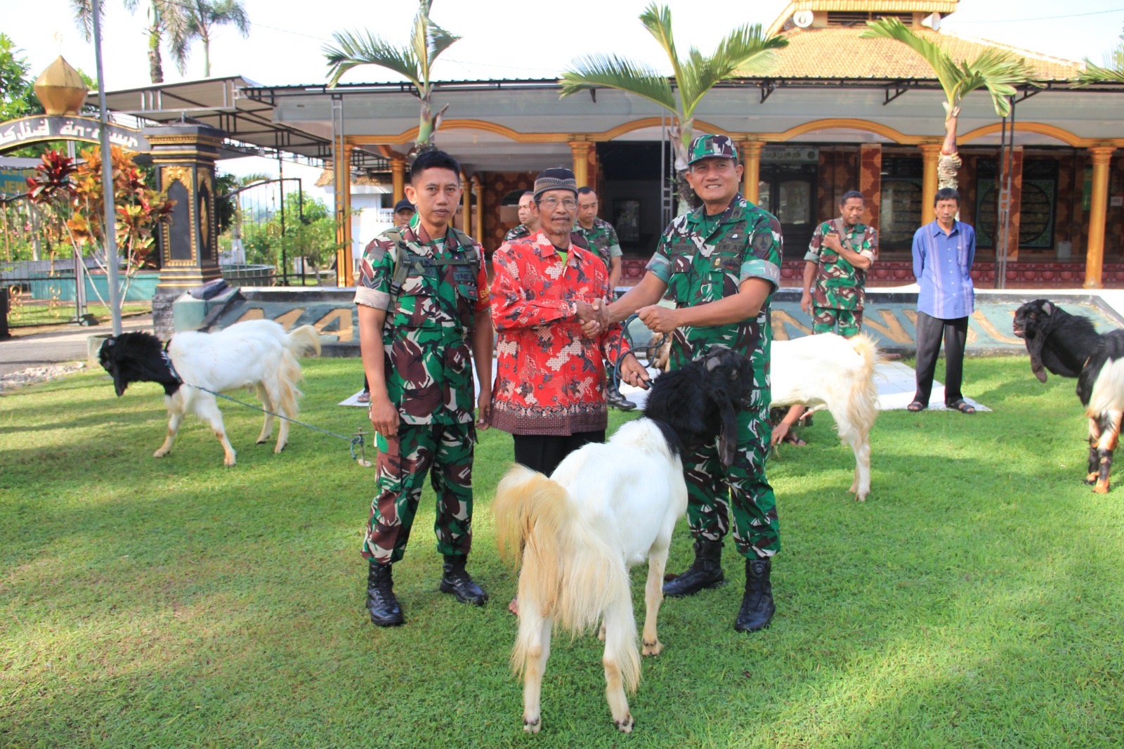 You are currently viewing Kodim 0806/Trenggalek Distribusikan 7 Kambing Kurban untuk Panti Asuhan dan Ponpes