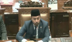 Read more about the article Ade Pramanja Apresiasi Rekomendasi Pansus DPRD Sumsel