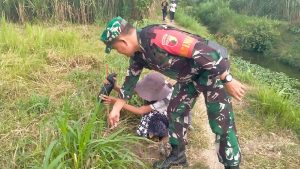 Read more about the article Babinsa Desa Plosokandang Dampingi Penanaman 500 Pohon Peringati Hari Lingkungan Hidup Sedunia 2026