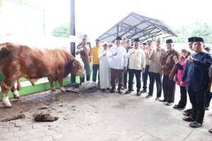 Read more about the article Bupati Asahan Hadiri Penyembelihan Sapi Bantuan Presiden di Air Batu, Warga Antusias