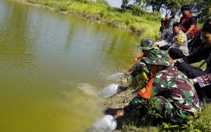 Read more about the article Kolaborasi Perkuat Ketahanan Pangan, TMMD 129 Bojonegoro Tabur 11 Ribu Benih Ikan