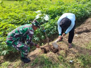 Read more about the article Menanam Hari Ini, Menjaga Masa Depan: Babinsa dan Warga Tawangrejo Hijaukan Bantaran Sungai