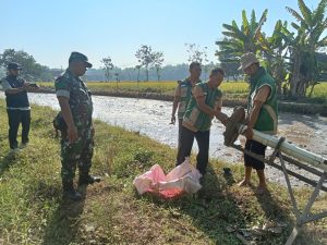 Read more about the article Menebar Benih, Menumbuhkan Harapan: Babinsa dan BPP Kenalkan TABELA kepada Petani Sewulan