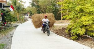 Read more about the article Jalan Baru, Harapan Baru: Asa Petani Dusun Mundu Mengangkut Rezeki Lewat TMMD 129 Bojonegoro