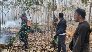 Read more about the article Gerak Cepat Warga dan Babinsa Padamkan Kebakaran Hutan di Dusun Panggung