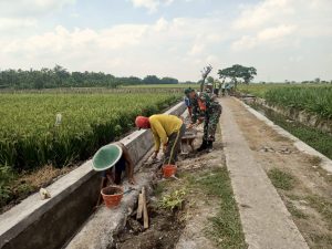 Read more about the article Drainase Dibangun, Harapan Petani Kenongorejo Mengalir Bersama Semangat Gotong Royong
