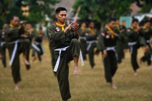 Read more about the article UKT Jadi Tolok Ukur Penguasaan Teknik Pencak Silat Militer