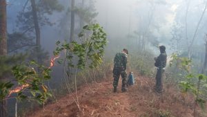 Read more about the article Terima Laporan Kebakaran, Anggota Kodim Ponorogo Respon Cepat