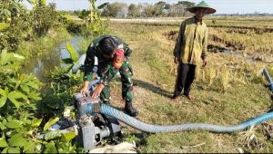 Read more about the article Pastikan Sawah Tetap Terairi, Babinsa Purworejo Dampingi Petani Jalankan Pompanisasi