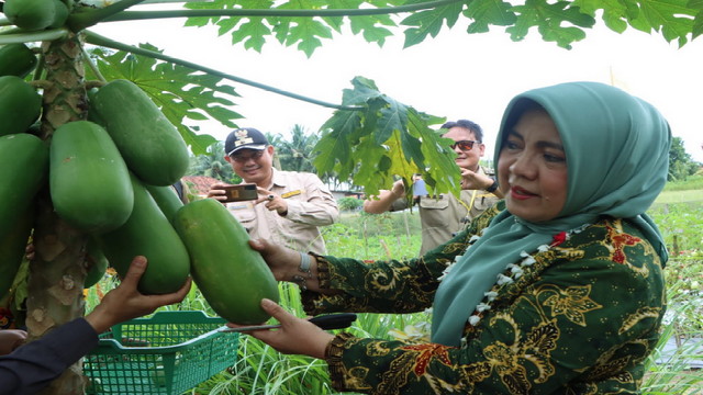 Read more about the article Mardiana Musa Kunjungi FKWT Seputih Raman