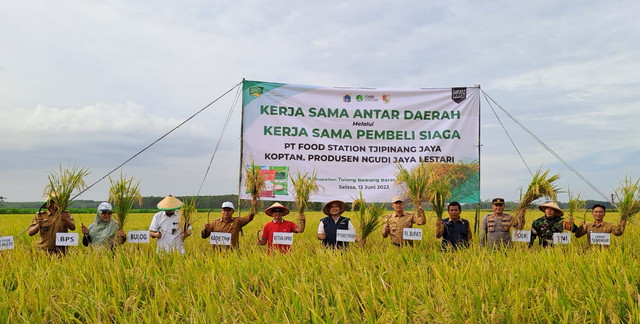 Read more about the article FS Panen Padi Bersama Koptan di Tubaba