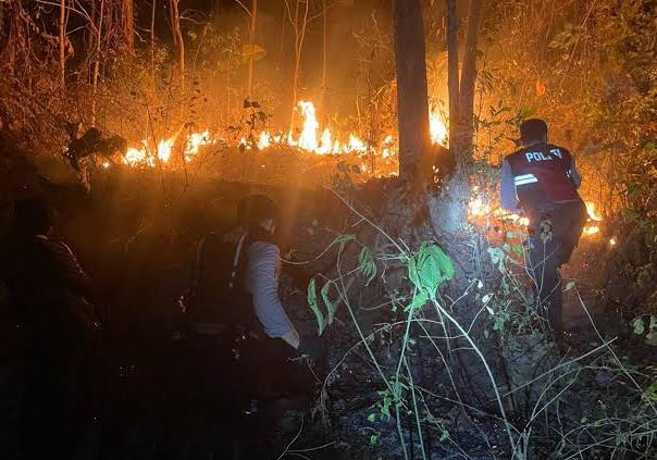 Read more about the article Gegara Bakar Daun Kering, Lima Hektare Kebun Jati Terbakar