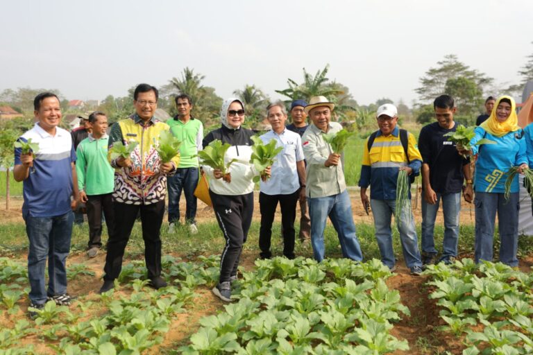 Read more about the article Riana Sari Arinal Panen Buah dan Sayur di Kebun PKK Agropark Sabah Balau