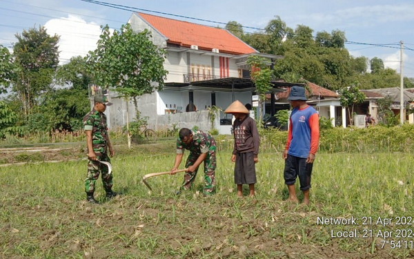 Read more about the article Sukseskan Ketahanan Pangan, Anggota Kodim 0802/Ponorogo Turut Pendampingan Petani Jagung