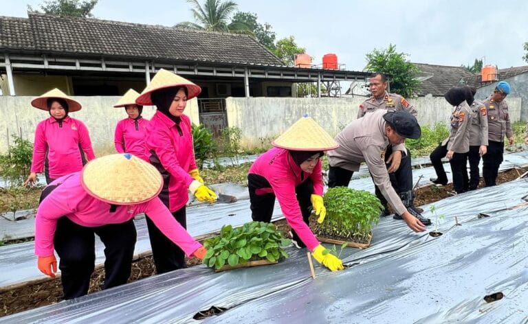 Read more about the article Bhayangkari Way Kanan Launching P2L, Tanam Sayur untuk Ketahanan Pangan