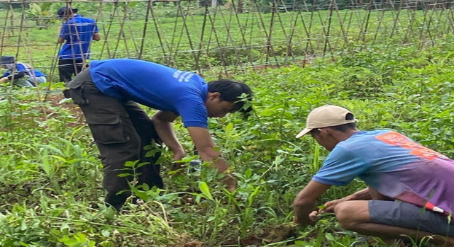 You are currently viewing Mahasiswa KKN Unlia Sosialisasi Budidaya Tumbuhan Azolla : Solusi Pakan Ternak dan Pupuk