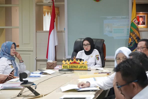 You are currently viewing Wakil Gubernur Lampung Ikuti Peluncuran IPKD dan MCP 2025