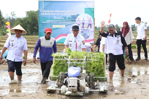 Read more about the article Gerakan Indonesia Menanam, Lampung Pacu Produksi Padi dan Serapan Gabah