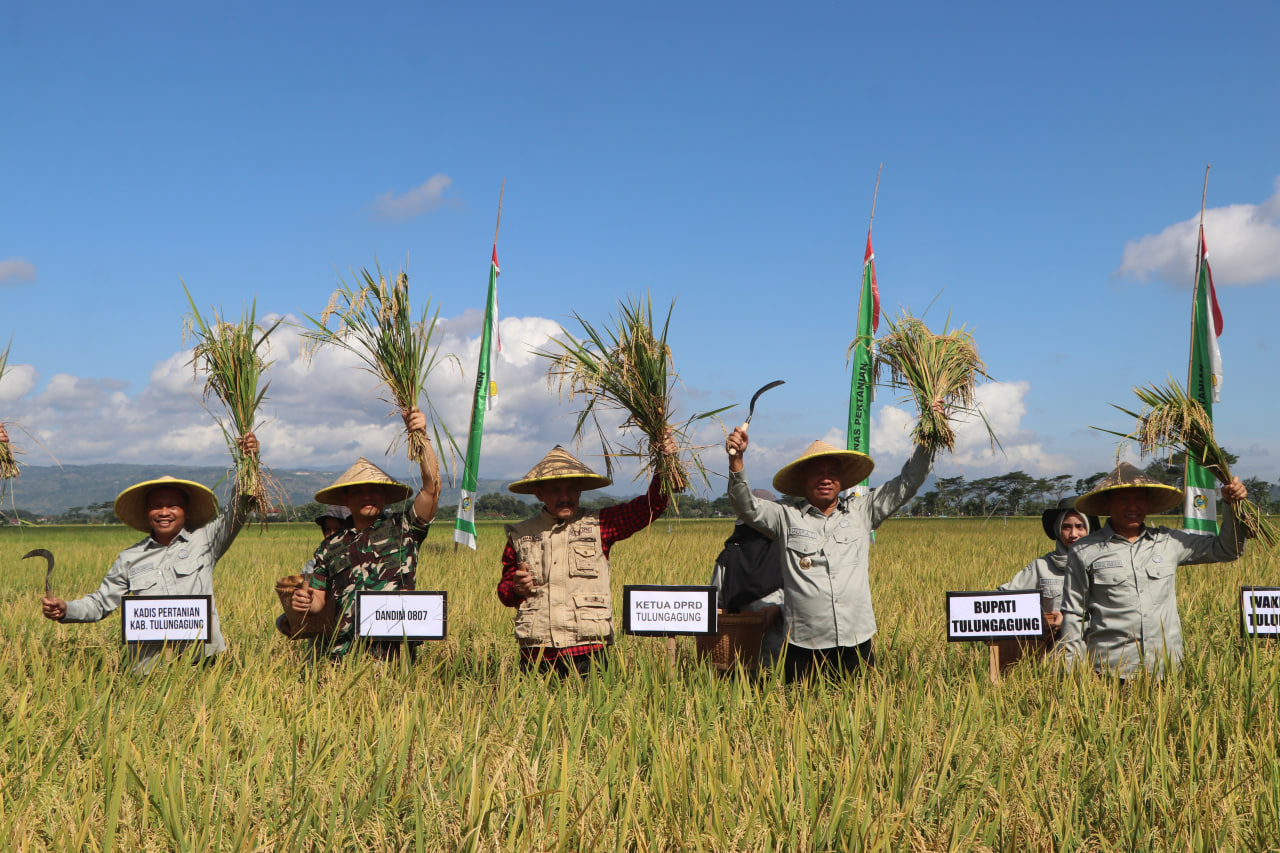 Read more about the article Tulungagung Ikuti Panen Raya Virtual Bersama Presiden RI