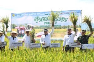 Read more about the article Genjot LTT, Danrem Optimis Target 400 Ribu Ton Tercapai