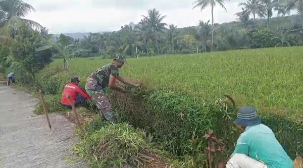 Read more about the article Babinsa Ponorogo Turun ke Selokan Bantu Warga Pembersihan Saluran Air