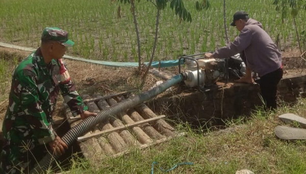 Read more about the article Babinsa Gemarang Bantu Warga Tingkatkan Ketahanan Pangan