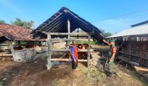 Read more about the article Babinsa Kodim Ponorogo Komsos Dengan Peternak Sapi