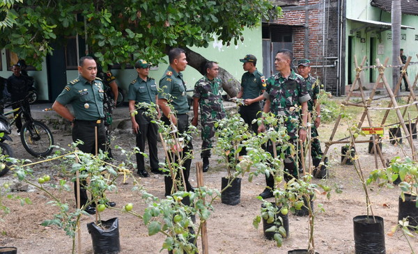 You are currently viewing Korem 081/Dsj Tinjau Program Hanpangan Terpadu Kodim Ponorogo