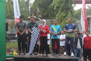 Read more about the article Pemkab Way Kanan Ajak Warga Ikut Jalan Sehat dan Lomba Estafet HUT RI