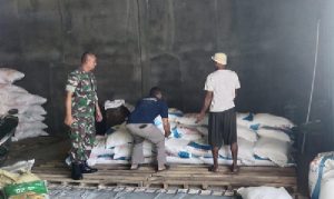Read more about the article Pendampingan Petani, Babinsa Kodim Ponorogo Pantau Ketersediaan Pupuk Bersubsidi