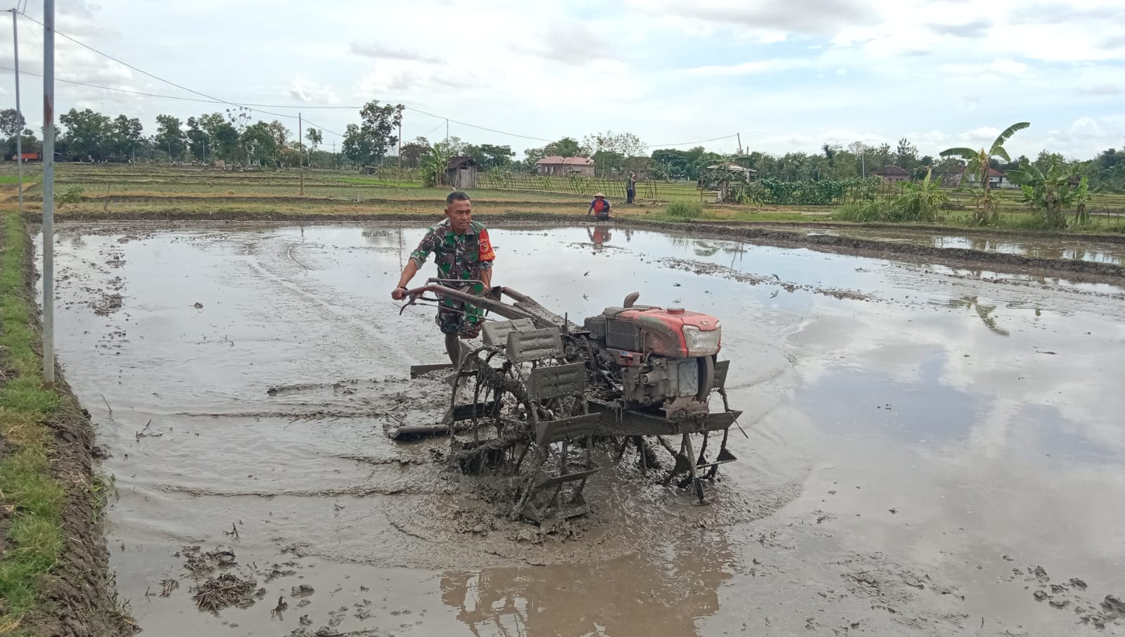 You are currently viewing Babinsa Kodim Ponorogo Terjun ke Sawah Bantu Petani Olah Lahan