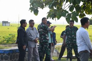 Read more about the article Danrem Untoro Tinjau Pertanian Padi di Ngawi