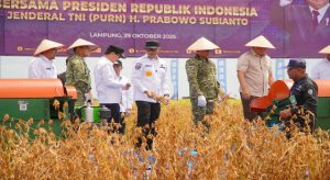 Read more about the article Panen Kedelai di Lampung Utara,Simbol Kolaborasi Wujudkan Kedaulatan Pangan Nasional