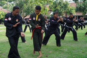 Read more about the article TNI Lestarikan Warisan Budaya Lewat Pencak Silat Militer