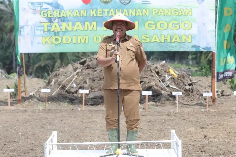 Read more about the article Asahan Dorong Ketahanan Pangan Lewat Penanaman Padi Gogo