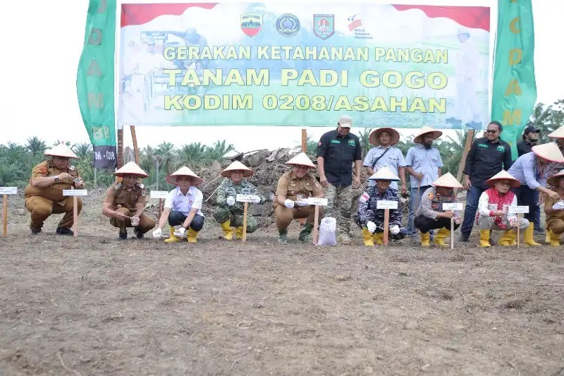 Read more about the article Padi Gogo Jadi Strategi Ketahanan Pangan Asahan, Bupati Taufik Turun Langsung