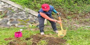 Read more about the article Bupati Parosil Tanam Pohon