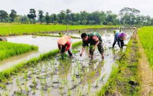 Read more about the article Danrem 081/DSJ Optimistis Capaian LTT Terus Meningkat Berkat Sinergi dan Pompanisasi