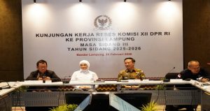 Read more about the article Pemprov Lampung Bersama Komisi XII DPR RI Bahas Pemanfaatan Energi