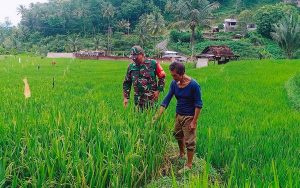 Read more about the article Babinsa Kodim Ponorogo Sebagai Motivator dan Perekat Kemanunggalan