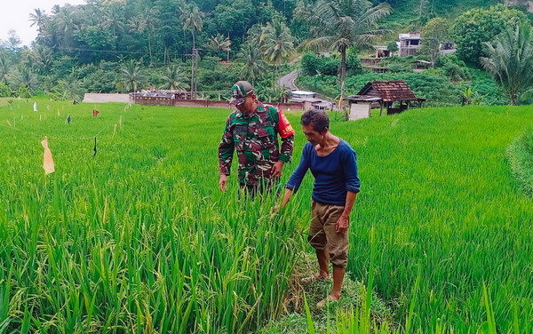 You are currently viewing Babinsa Kodim Ponorogo Sebagai Motivator dan Perekat Kemanunggalan