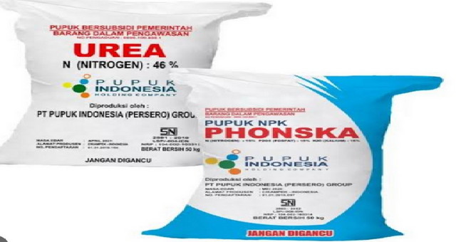 Read more about the article Pupuk Langka, Petani Menjerit