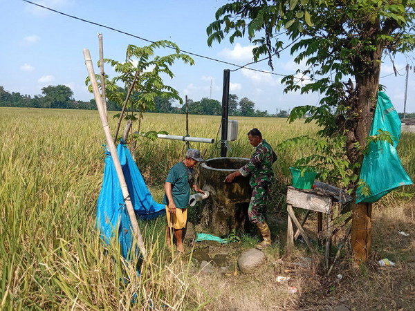 Read more about the article Pendampingan Petani oleh Babinsa Kodim Ponorogo Majukan Sektor Pertanian di Desa