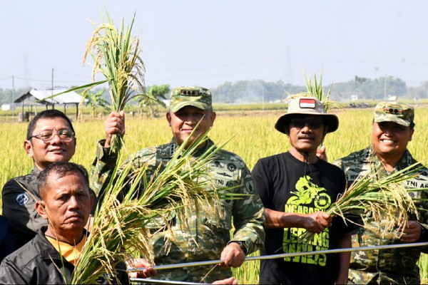 Read more about the article Dorong Inovasi Pertanian, Danrem Tinjau Uji Coba Varietas Padi Baru di Ngawi