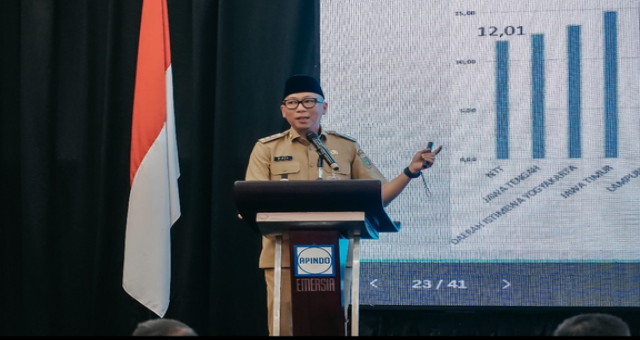 Read more about the article Gubernur Lampung Ajak APINDO Bangun Ekonomi Lampung